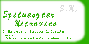 szilveszter mitrovics business card